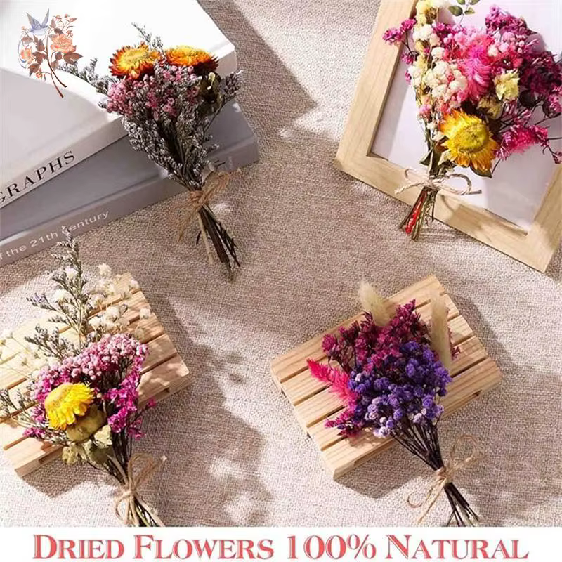 Coffret de matériaux de fleurs séchées mélangées