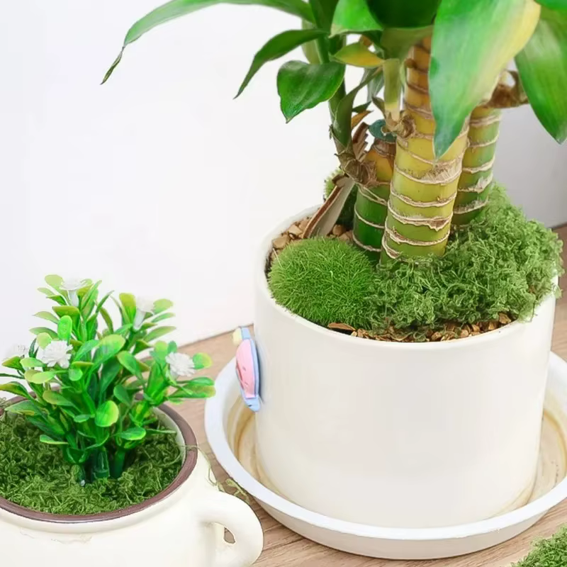 Mousse artificielle 30/300G pour jardin féerique