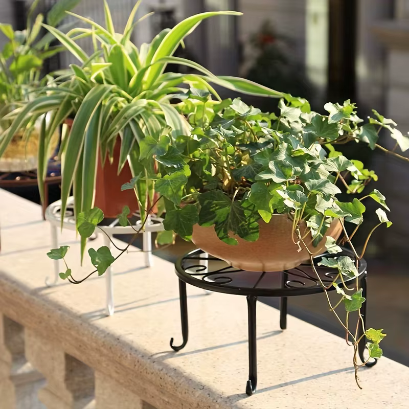 Support pour plantes en fer antirouille en métal robuste