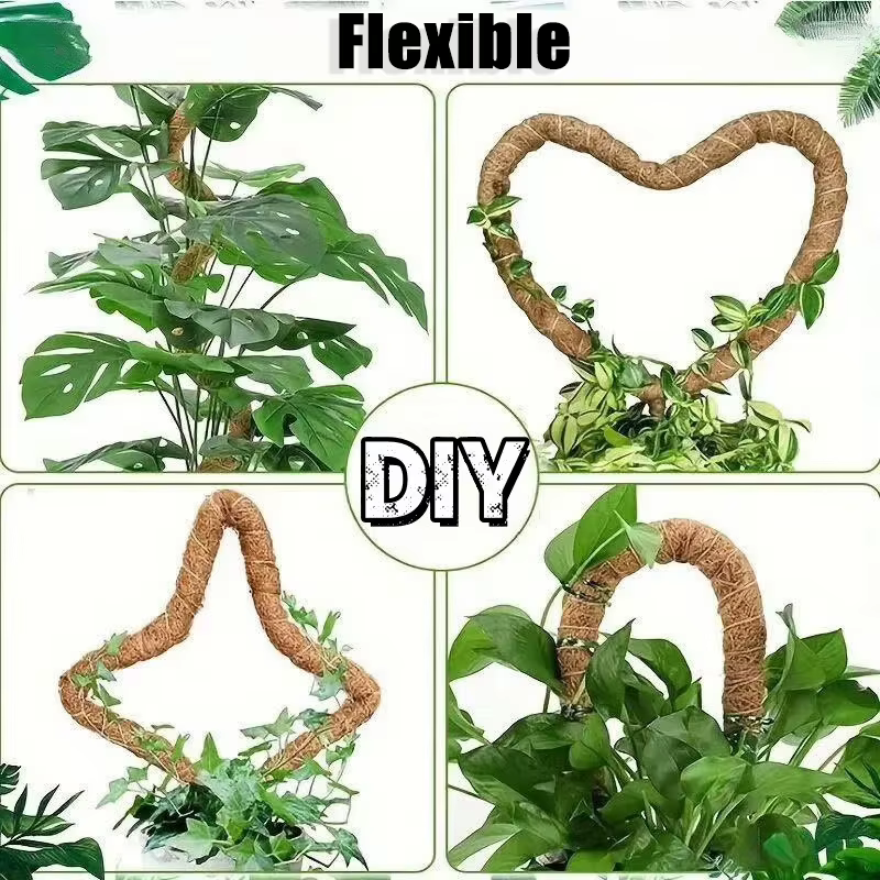 Canne de palmier grimpante pliable pour plantes d'intérieur