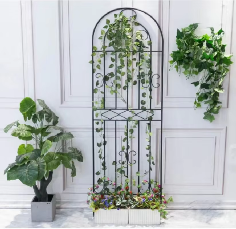 Clôtures de jardin d'extérieur en fer pour plantes grimpantes et fleurs
