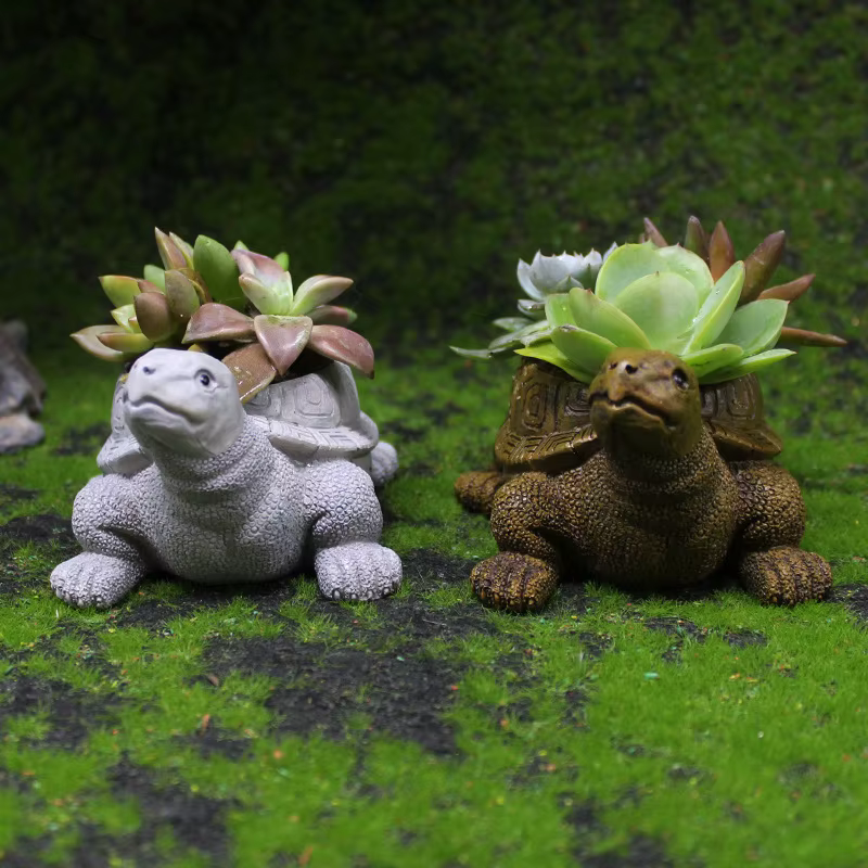 Pot de fleur succulente tortue de dessin animé