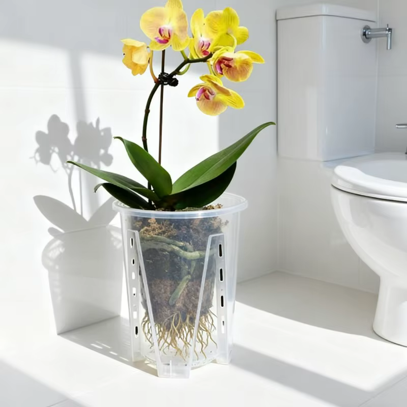 Pot de fleurs transparent 5/1x pour semis