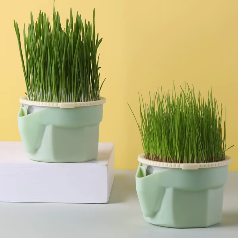 Tasse d'herbe pour chat