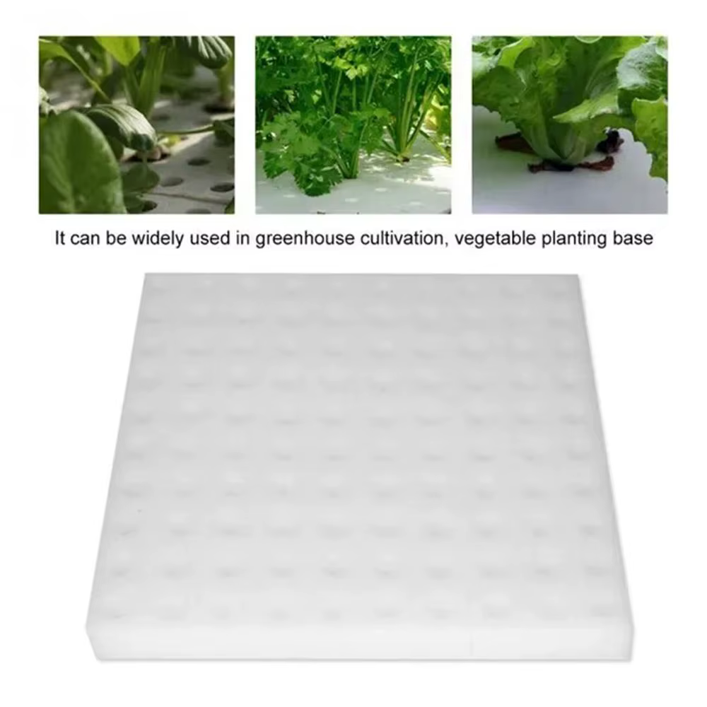 Culture hors sol plantation coton hydroponique semis jardin pépinière éponges plante légumes