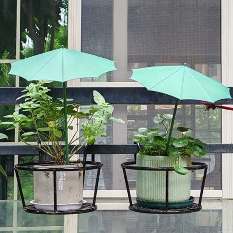 Parasol pour plantes d'extérieur