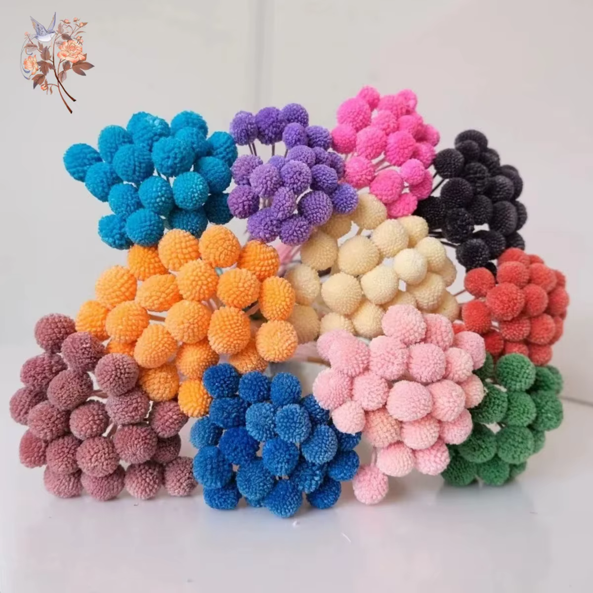 Fleurs IkFlowers séchées CeleButton pour décoration de table