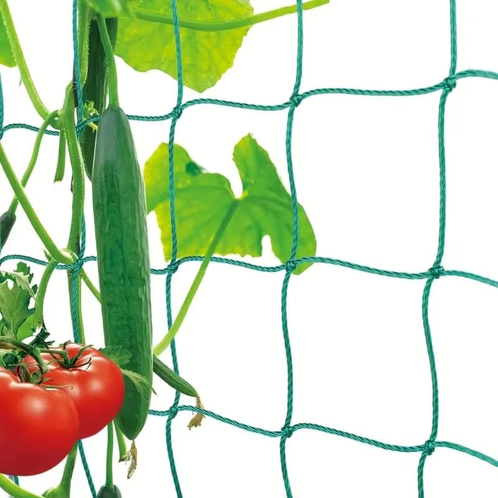Pergola treillis robuste en polyester avec maille carrée pour plantes grimpantes et légumes