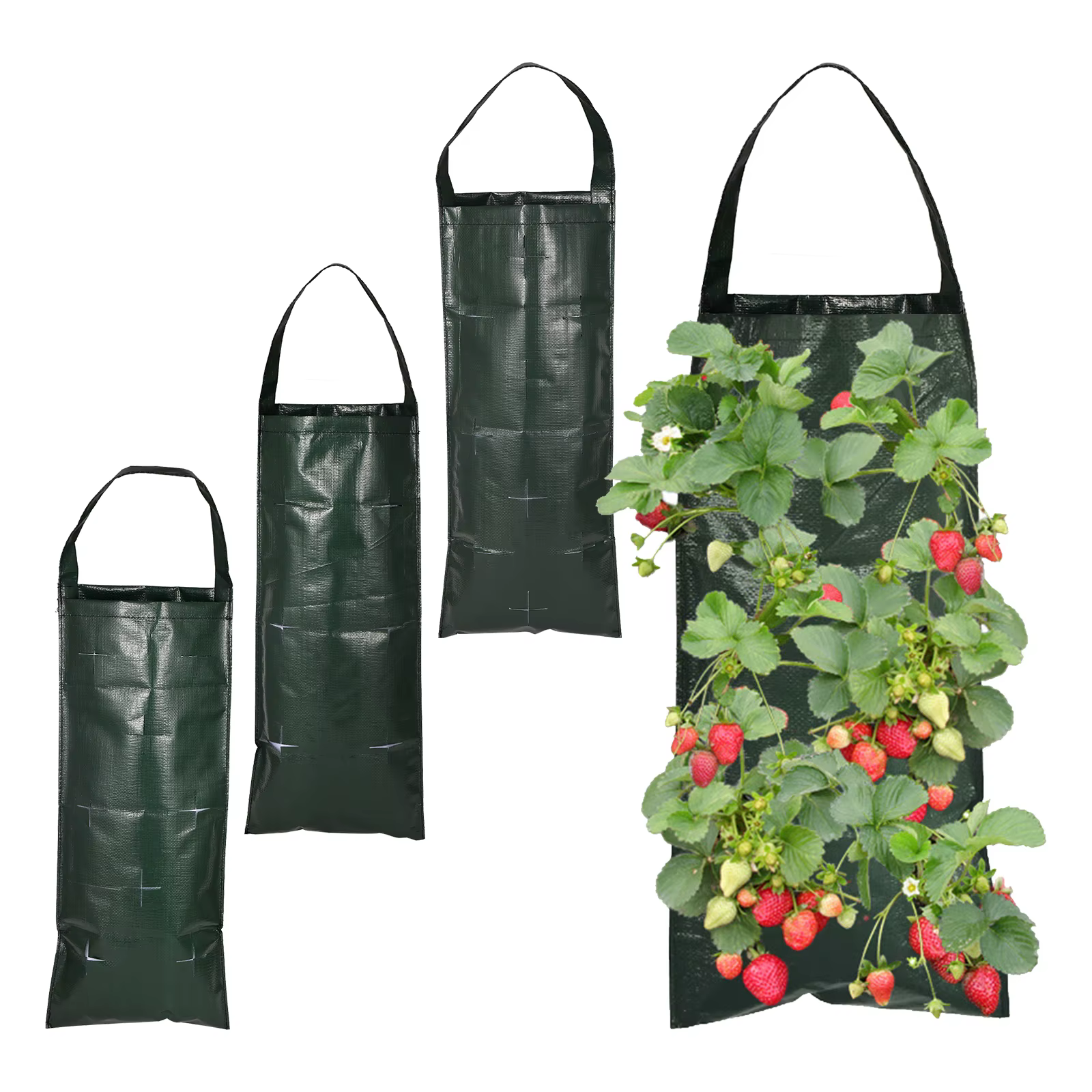 Sac de plantation de fraises suspendu à 6/8/10 trous