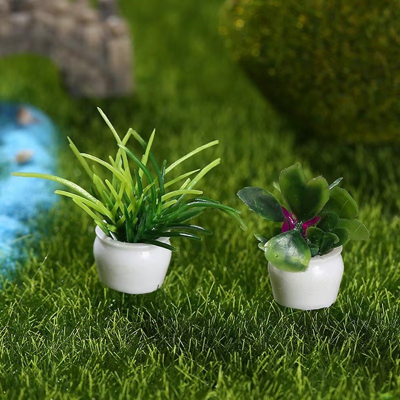 Plantes vertes miniatures en pot