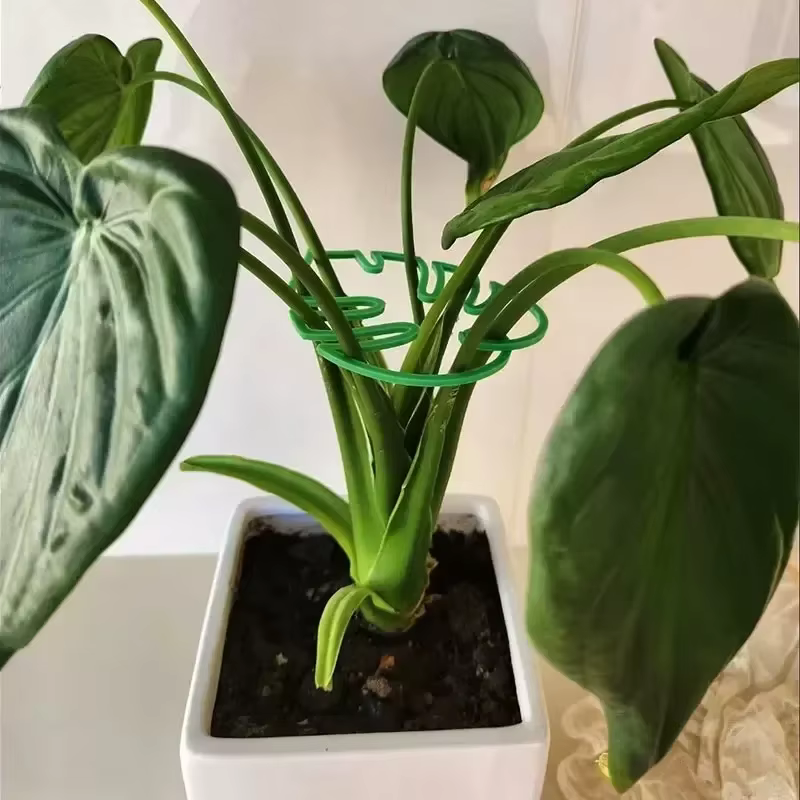 Supports de tiges de plantes