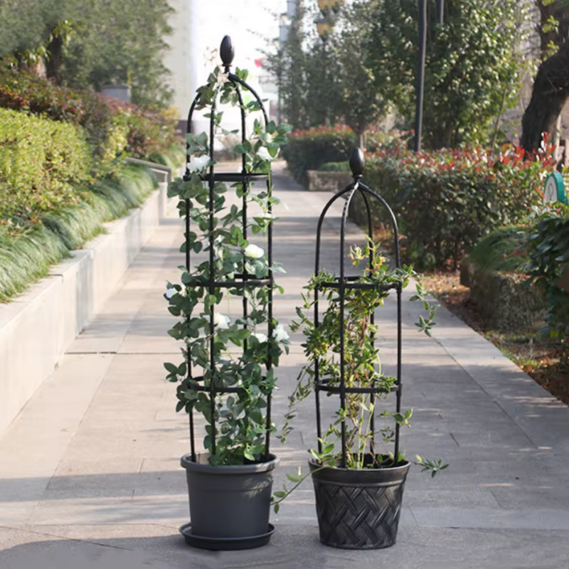 Cadre de Support pour Plantes Grimpantes en Treillis