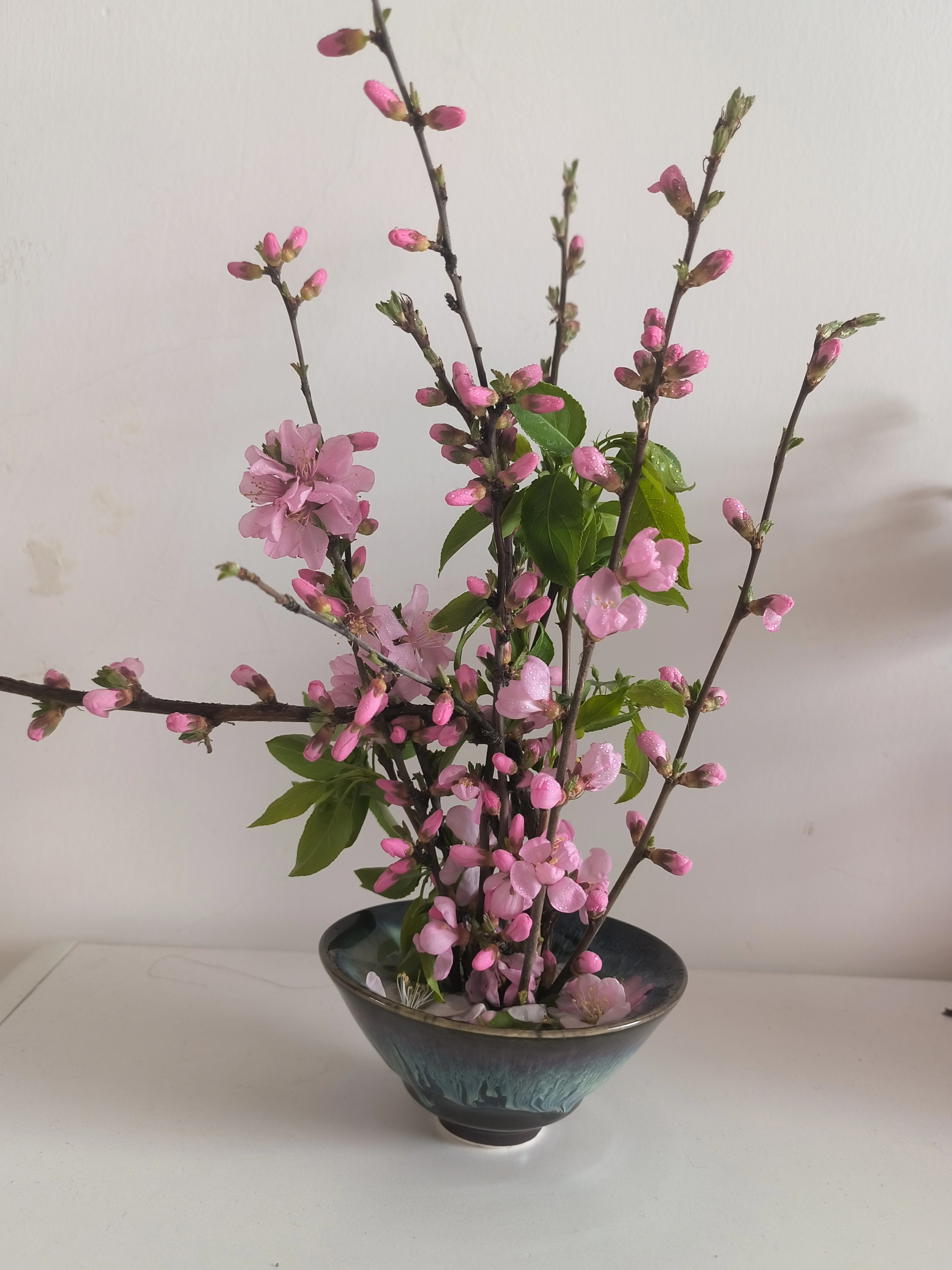 Base de fleur d'aiguille japonaise Ikebana Kenzan