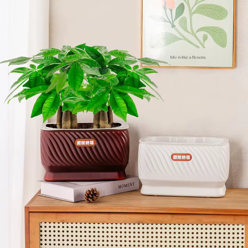 Pot de fleurs auto-arrosant en plastique