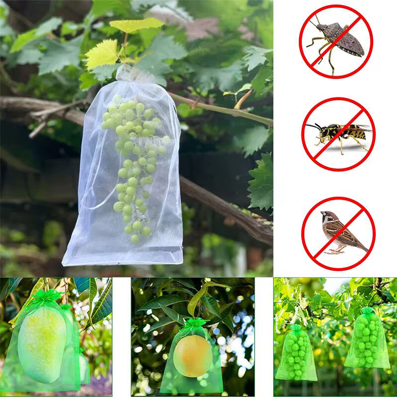 20/50/100 pièces sac de Protection de raisin sac de culture maille fruits antiparasitaires produits respirant gaze frais