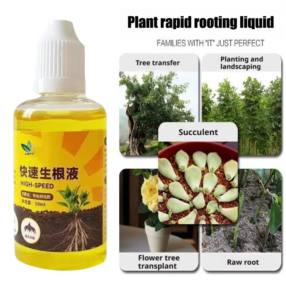Stimulateur de racines liquide rapide 50 ml