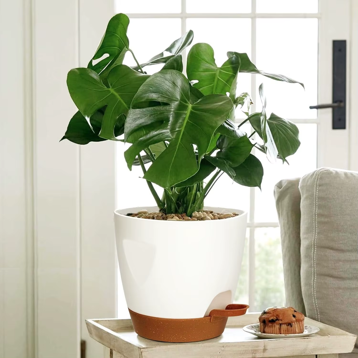 Pot de fleurs décoratif d'intérieur avec trou de drainage