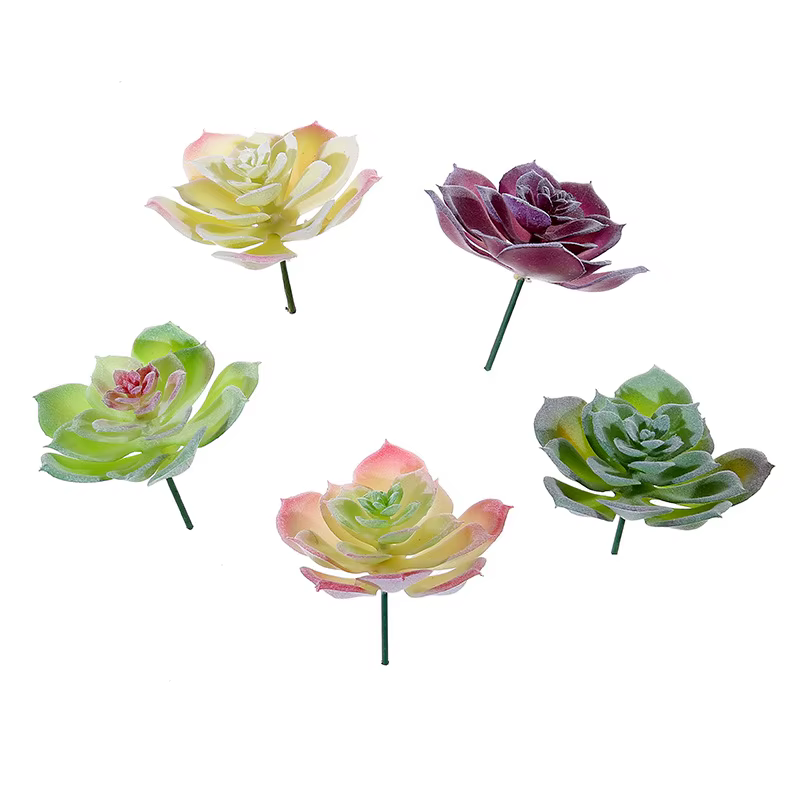 Wusmart – petites plantes succulentes artificielles Shui Lian