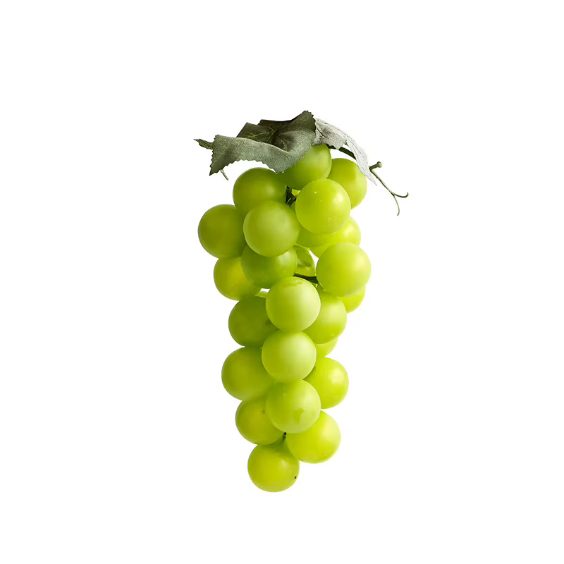 Modèle de raisin vert réaliste Qingwang