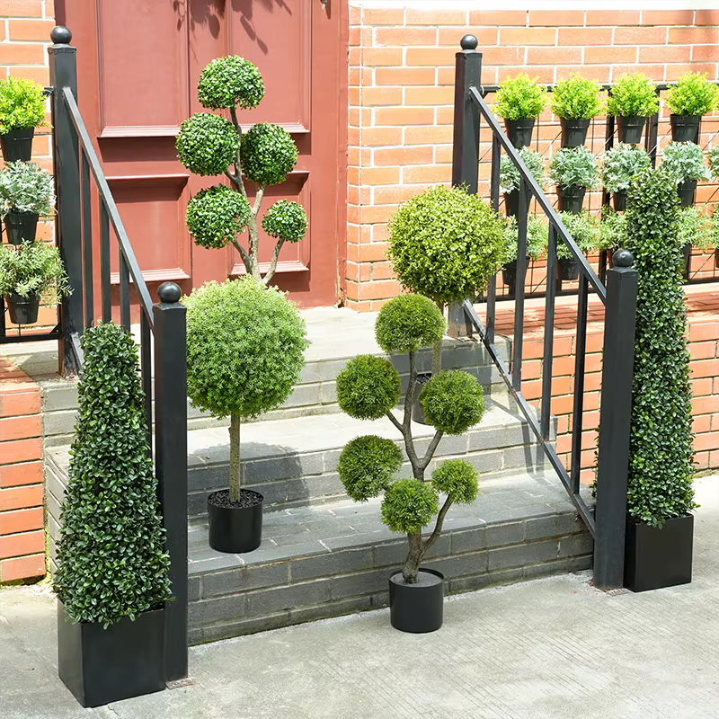Plantes vertes en pot de cuir chevelu Milan Él