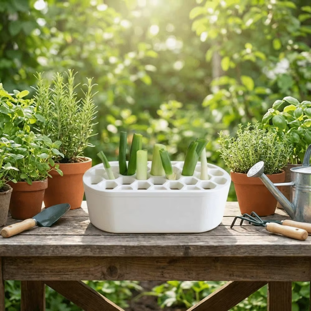 Pots de culture hydroponique multifonctionnels en plastique avec base de réservoir d'eau