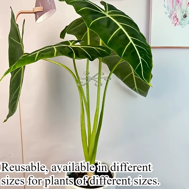 4 supports pliables anti-inclinaison pour plantes