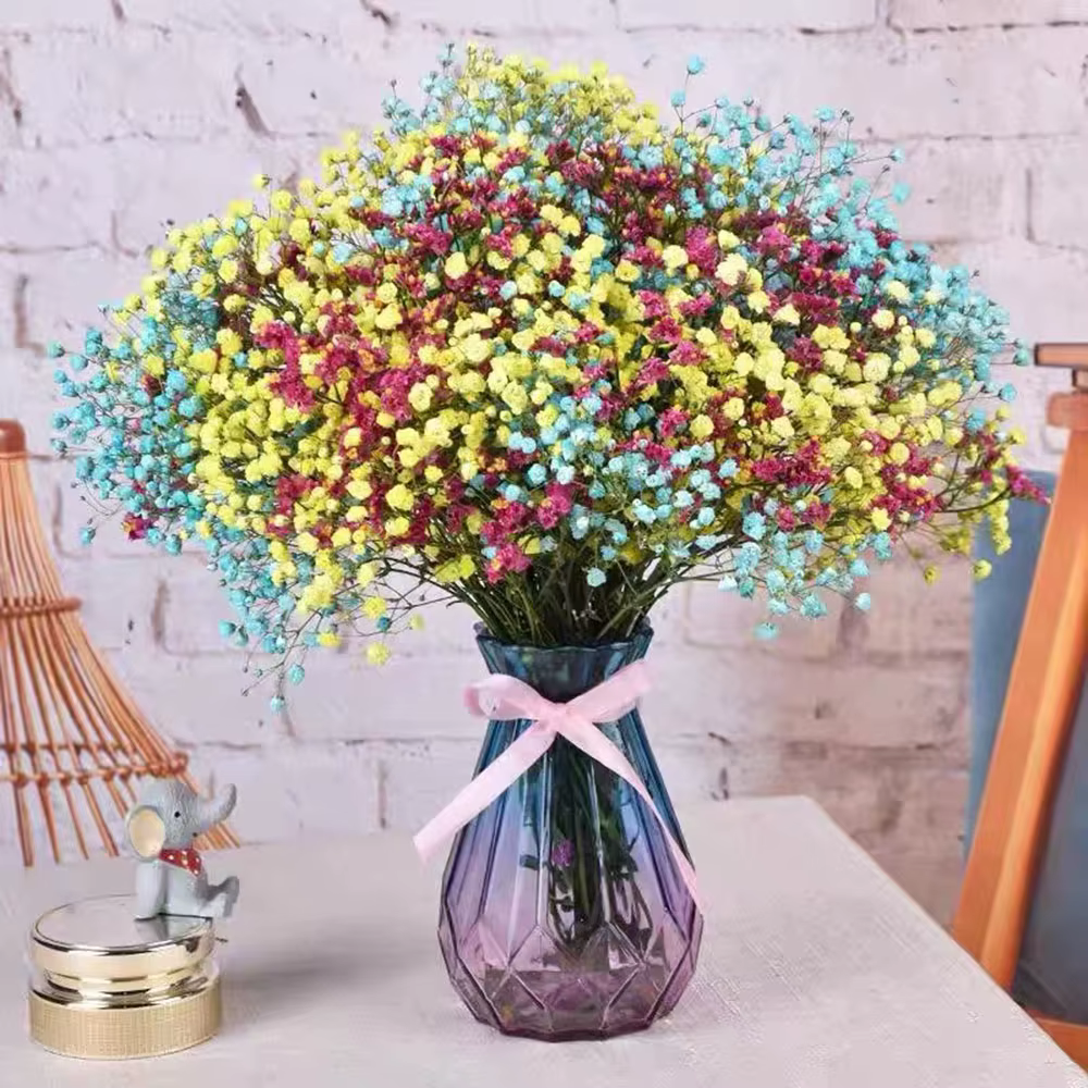 Bouquet de fleurs de gypsophile séchées naturelles