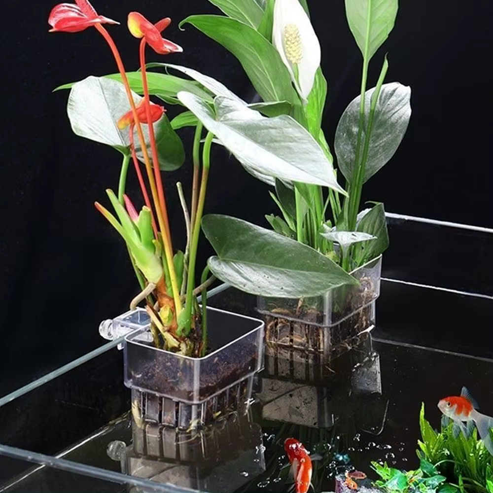 Porte-plante d'aquarium