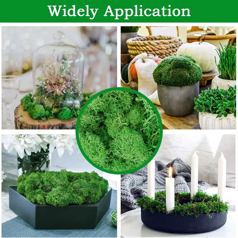 Nouvelles plantes vertes artificielles vie éternelle mousse herbe bricolage