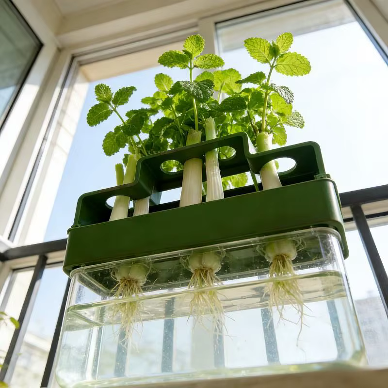 ☌ Un dispositif de plantation spécialement conçu pour les oignons verts, doté d'un système hydroponique permettant une croissance répétée