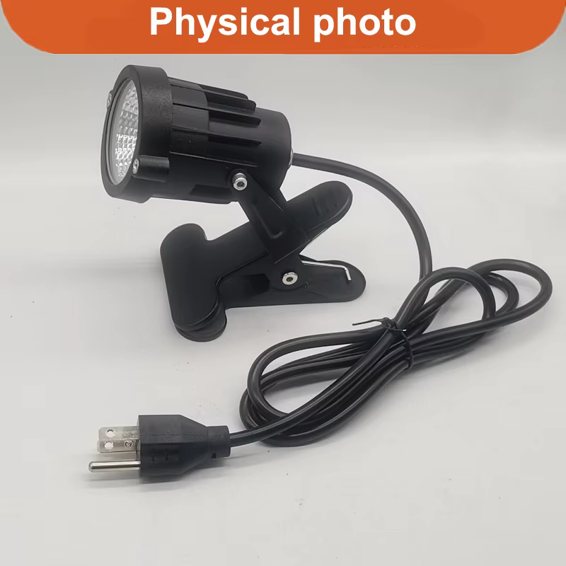 Pince LED Spot intérieur plantes décor Accent éclairage Clip sur lumières Uplight avec prise pour bureau