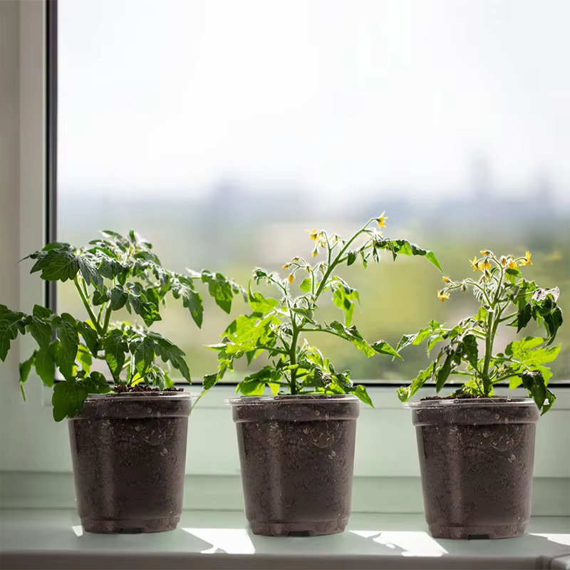 Pots de pépinière avec couvercles