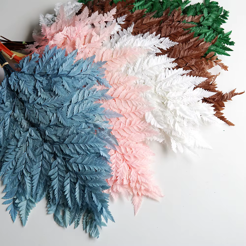 Feuille de fougère alpine