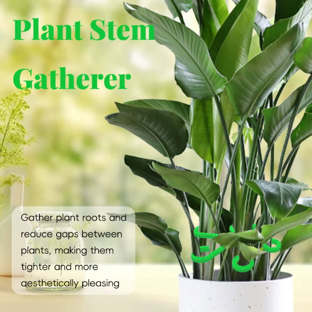 Cadre pliant de tige de plante