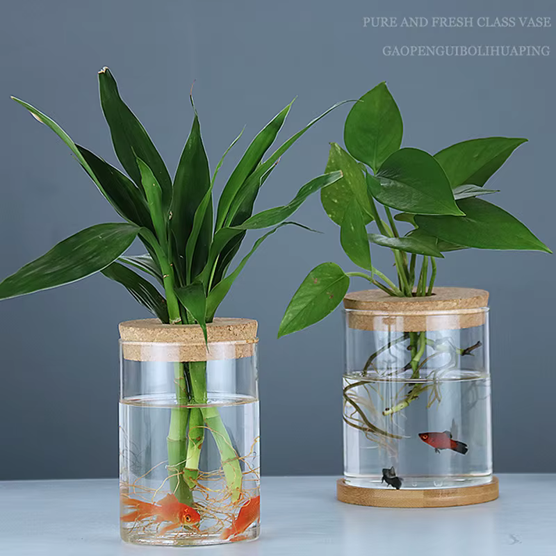 Pot de fleurs hydroponique transparent imitation verre