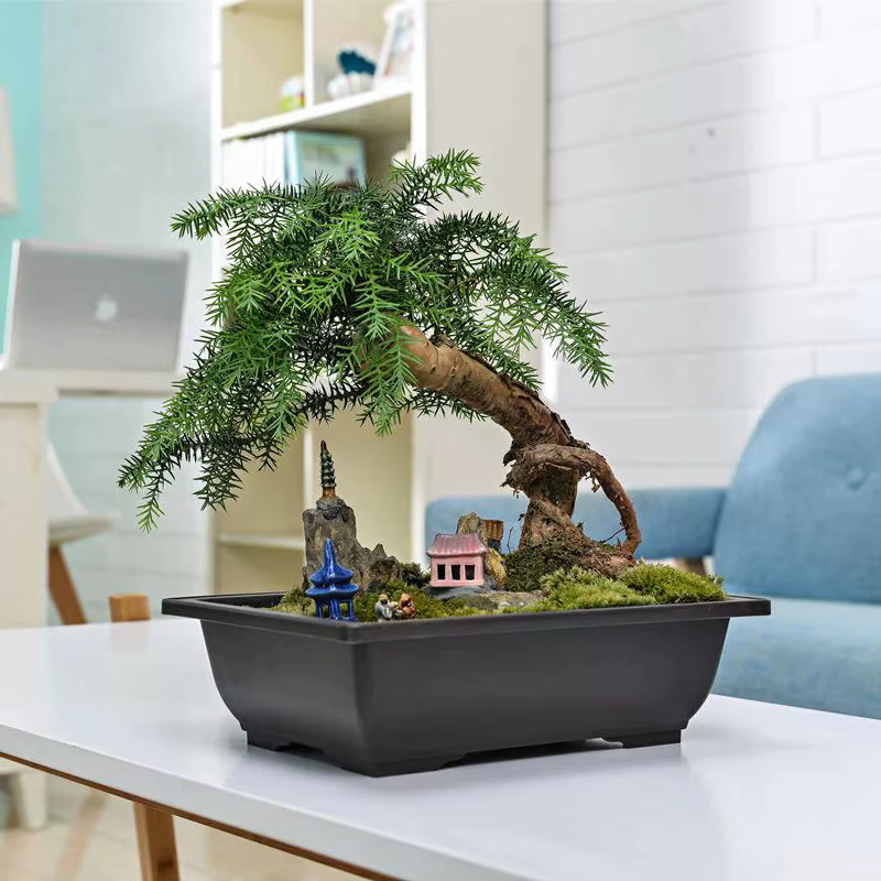 Pot à Bonsaï en Plastique Effet Argile Pourpre