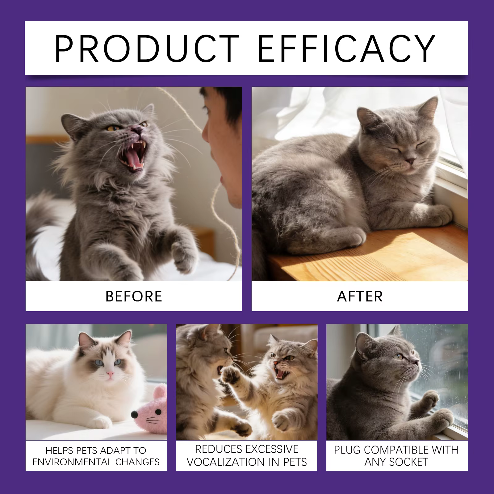Diffuseur apaisant naturel pour soulager le stress des chats avec huile essentielle végétale