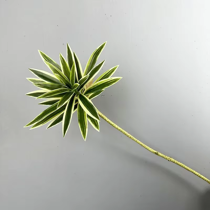 Plantes vertes artificielles