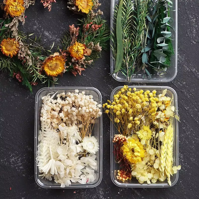 Boîte de fleurs séchées