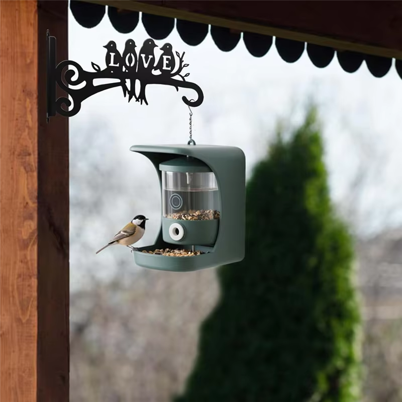 RALCA – support pour plantes suspendues en métal de 10 pouces