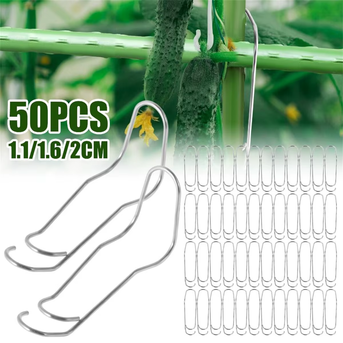 Boucles de connexion en treillis pour plantes