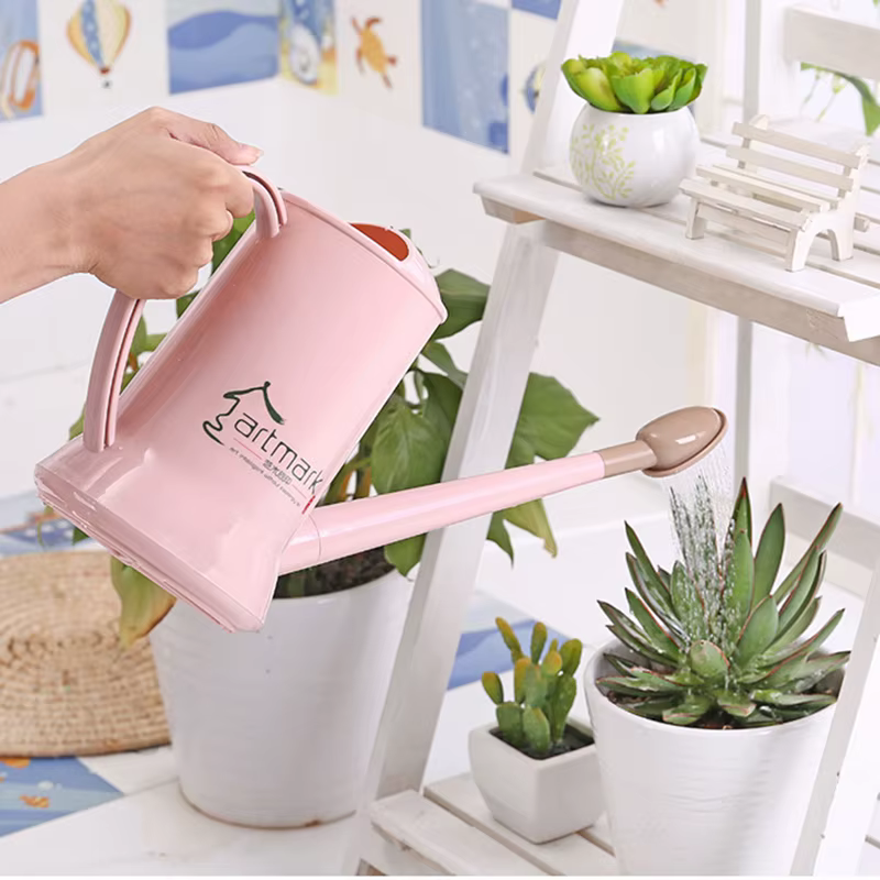 Arrosoir à long bec détachable de 2 L