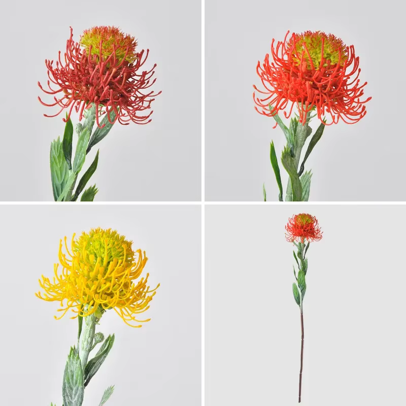 Fleur artificielle sud-africaine pour décoration de mariage