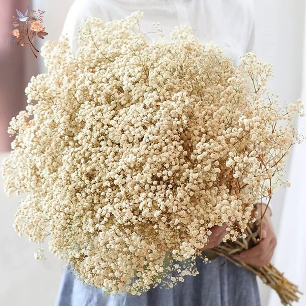 Bouquet de fleurs séchées pour bébé