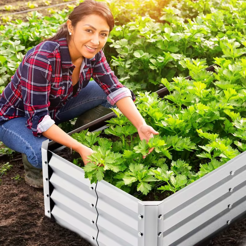 Kit de jardinière en acier galvanisé 4x2x1 pieds