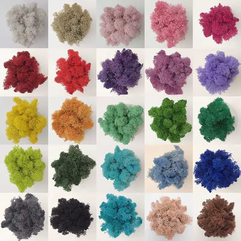 100/500/1000g pas cher HI-Q vert immortel mousse plantes d'herbe artificielle fausse fleur bricolage décor pour maison