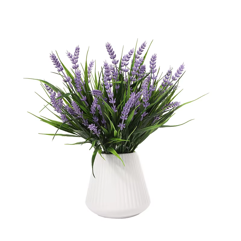 Bouquet de plantes de lavande violette