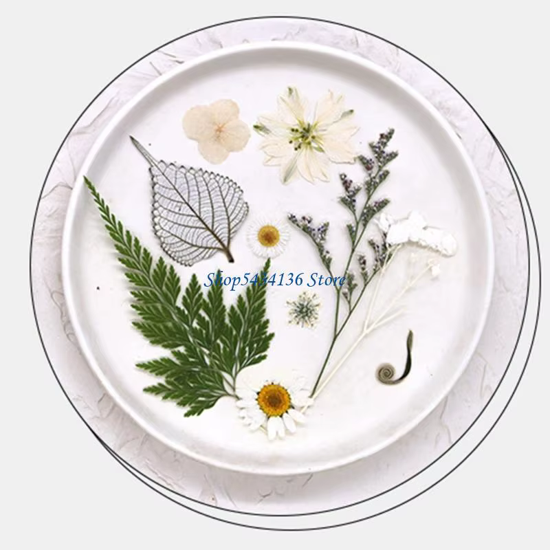 Fleur séchée pressée H7 pour moule en résine Feuilles fleurs séchées pressées naturelles pour le feuillette scrapbooking