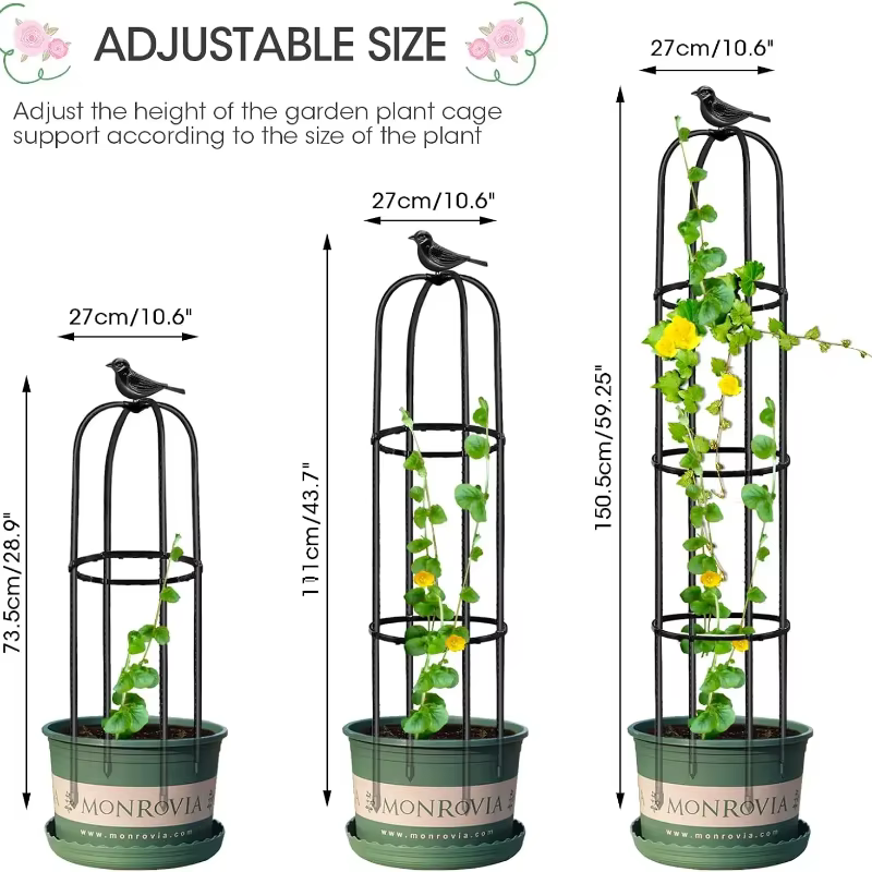 Support de grimpement en métal antirouille pour plantes en pot