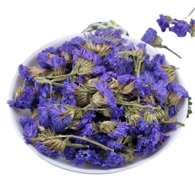 Myosotis bleu de haute qualité